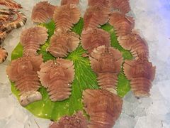 -春华海鲜城(广场西苑店)
