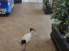 -可伦宾野生动物保护区