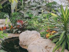 -北京植物园-展览温室