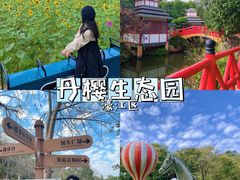 -丹樱生态园