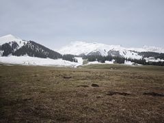 -新疆那拉提国家旅游度假区