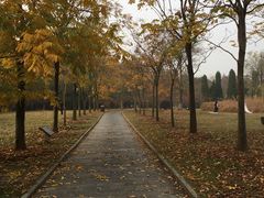 -东湖落雁景区