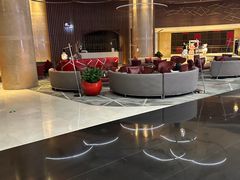 -南京禄口机场雅高铂尔曼大酒店