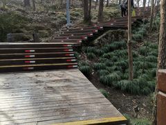 -紫金山索道-售票处