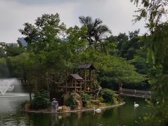 -深圳野生动物园