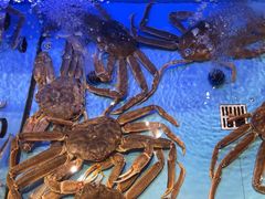 -阿伟海鲜楼·福建菜(延寿店)