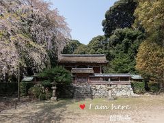 清泷宫正殿-醍醐寺