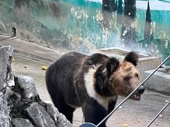 -成都动物园