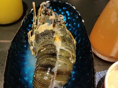 小青龙-海鼎荟海鲜姿造(仟禧汇店)