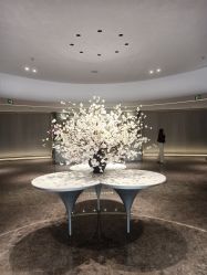 -广州美莱医疗美容医院