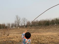 -永定河休闲森林公园