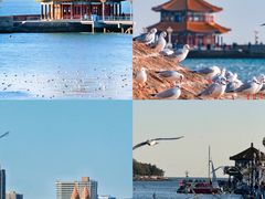 -开海·红岛海鲜虾水饺(石老人店)