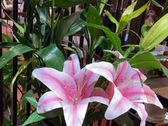 -宋园·金宴浙鲜馆(静安店)