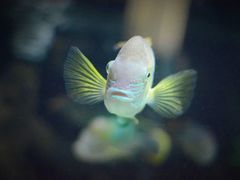 -苏州海洋馆