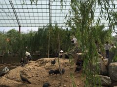 -洛阳马蹄泉旅游度假村