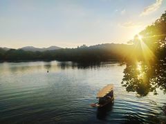 -西湖外事游船(花港观鱼码头)