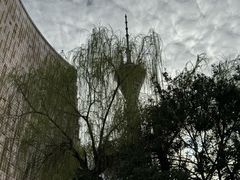 -成都市活水公园