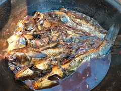 -鑫淼馫农家乐餐馆