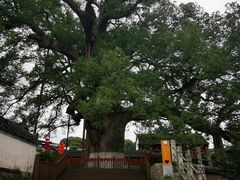 -新安江山水画廊风景区