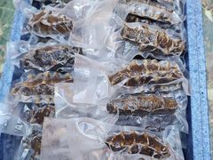 -棒棰岛辽参(长宁旗舰店)