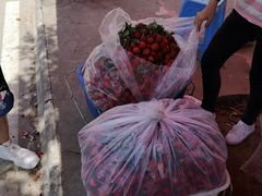 -顺风山庄(水濂山店)