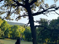 -艾山风景名胜区