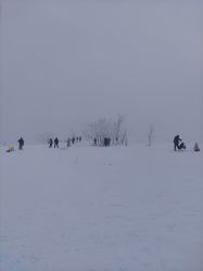 -大秃顶子山