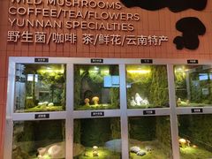 -芸山季·云南山珍菌火锅(宝能环球汇店)