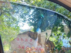 -海南热带雨林国家公园吊罗山景区