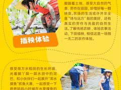 -阿妮亚少儿美术书法(望京店)