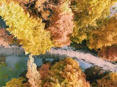 -桤木河湿地公园