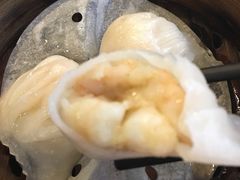 招牌虾饺皇-添运来(茶园奥园广场店)