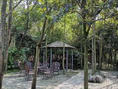 -水岸庭院·乡村柴火鸡