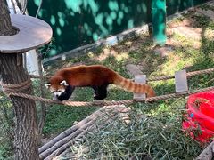 -大连森林动物园