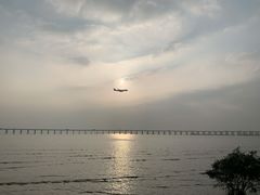 -宝安西湾红树林湿地公园