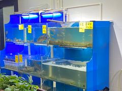 -盈田盈粥庄(博山东路店)