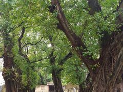 -龙环葡韵住宅式博物馆