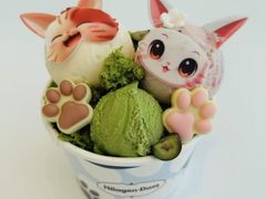 -哈根达斯(龙湖时代天街店)