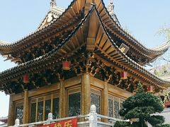 -上海东林寺(金山区)
