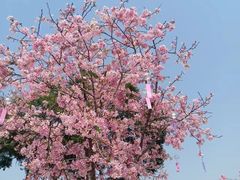 -宝墨园景区
