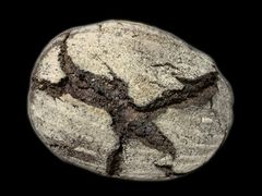黑森林紫檀乡村面包-佐敦面包铺·JORDAN BAKERY