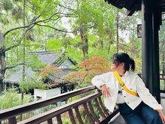 -上海佘山国家森林公园西佘山园