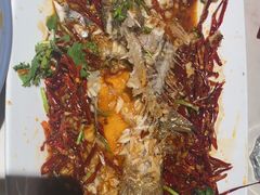 -杨氏青龙虾·羊蝎子(金盛路总店)