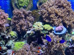 -珠海长隆海洋王国