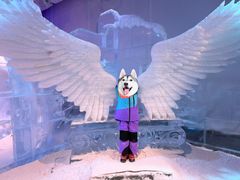 -世界之窗阿尔卑斯冰雪世界