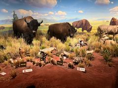 -陕西自然博物馆