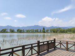 -野鸭湖国家湿地公园