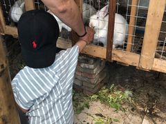 -小鱼草莓采摘园农家乐·小鱼餐厅