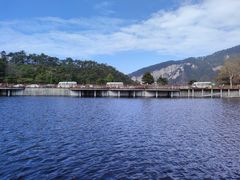 -庐山风景区花径公园