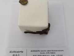 苦杏仁炼金士-TIENSTIENS将将(三里屯店)